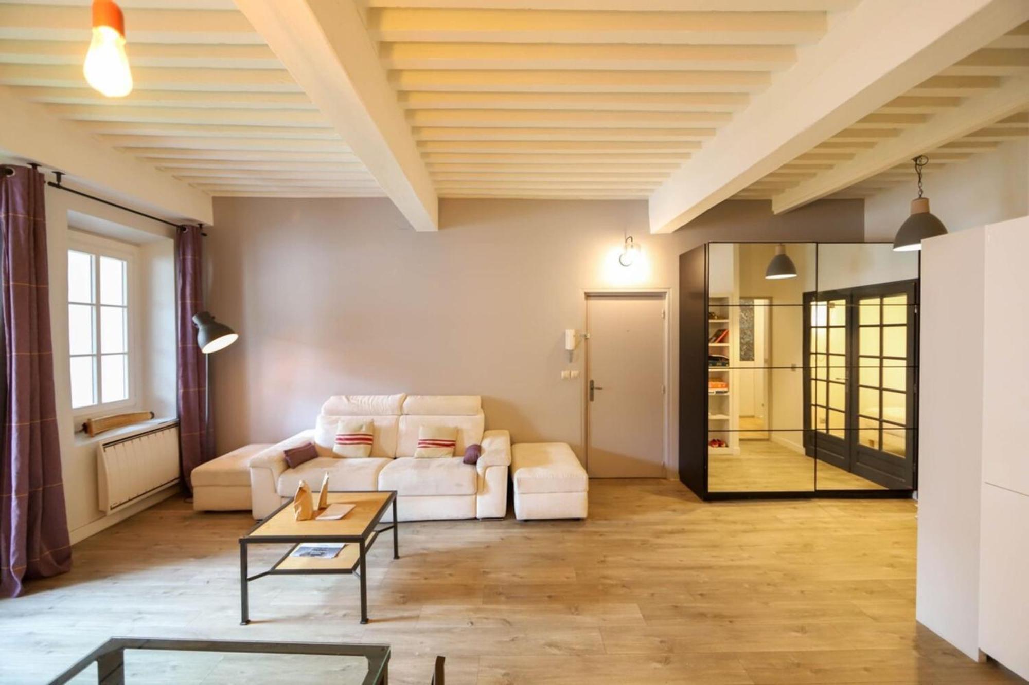 55 M2 Apart With Big Terrace In Annecy Downtown Esterno foto