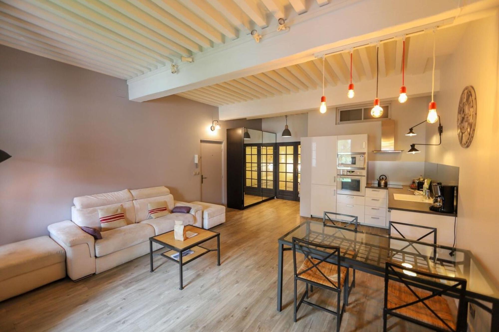 55 M2 Apart With Big Terrace In Annecy Downtown Esterno foto